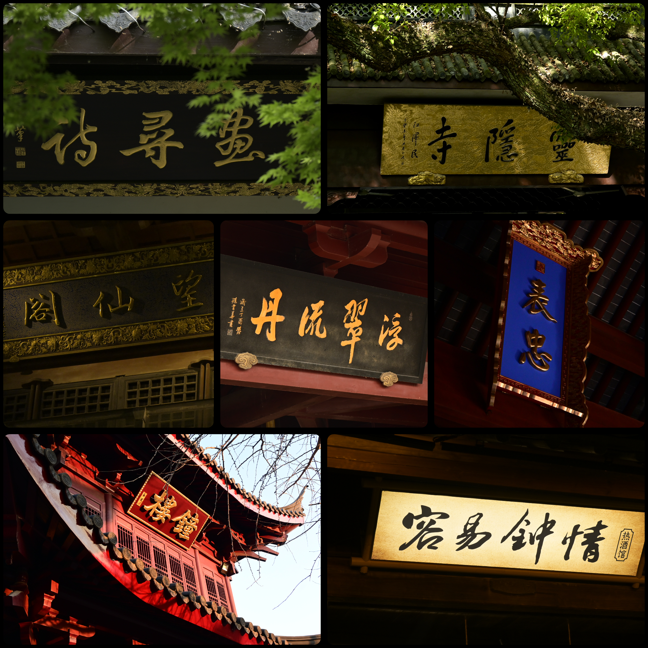 Plaque